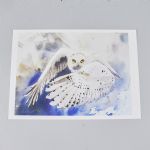 1540 6004 Grafiskt blad